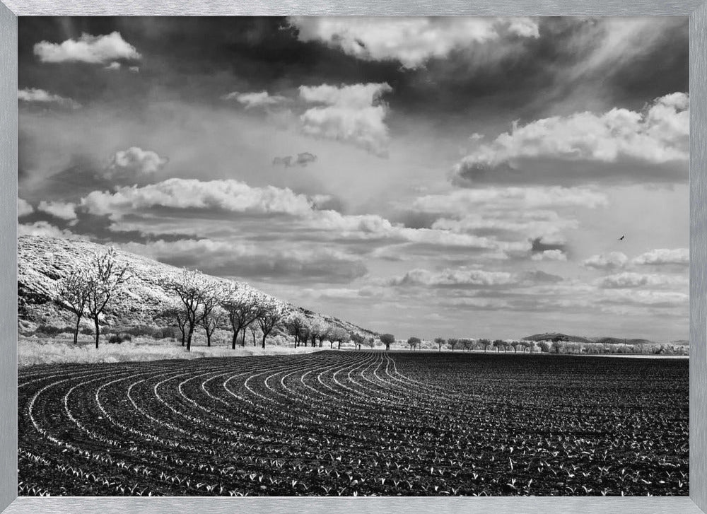 Bio athletic stadium Poster